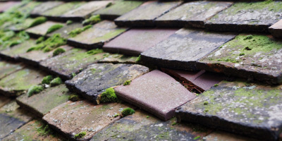 Walcote roof repair costs